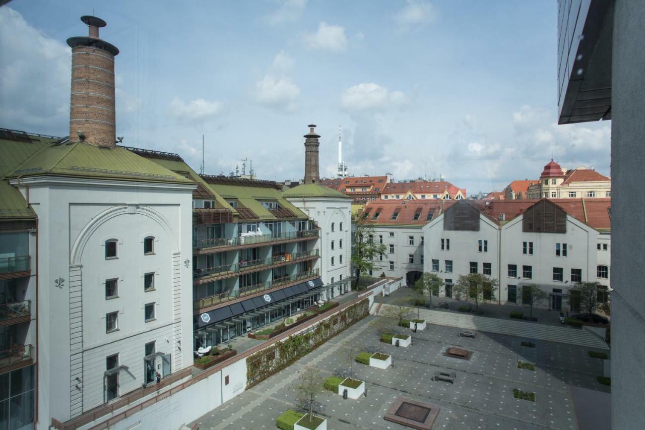 Daire Teichmann Premium